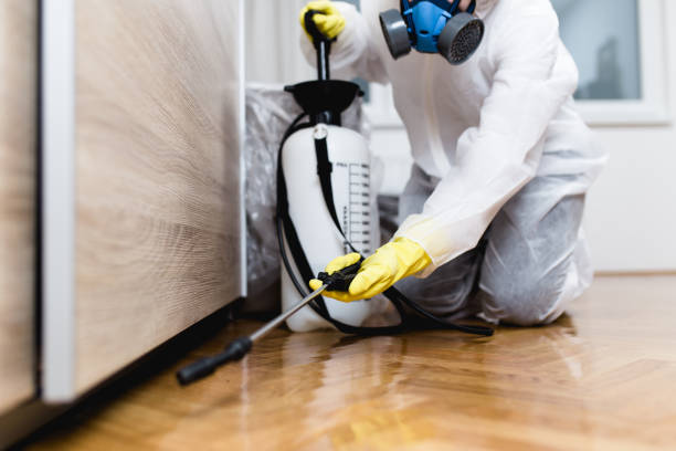 Best Pest Control for Businesses  in Blythewood, SC