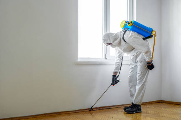 Best Best Pest Control Companies  in Blythewood, SC