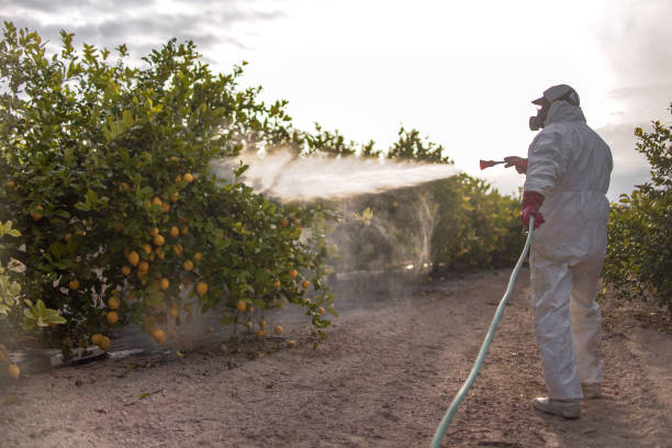Trusted Blythewood, SC Pest Control Experts