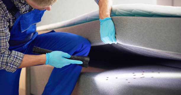 Best Flea Control Services  in Blythewood, SC