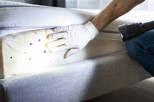 Best Pest Control Near Me in Blythewood, SC